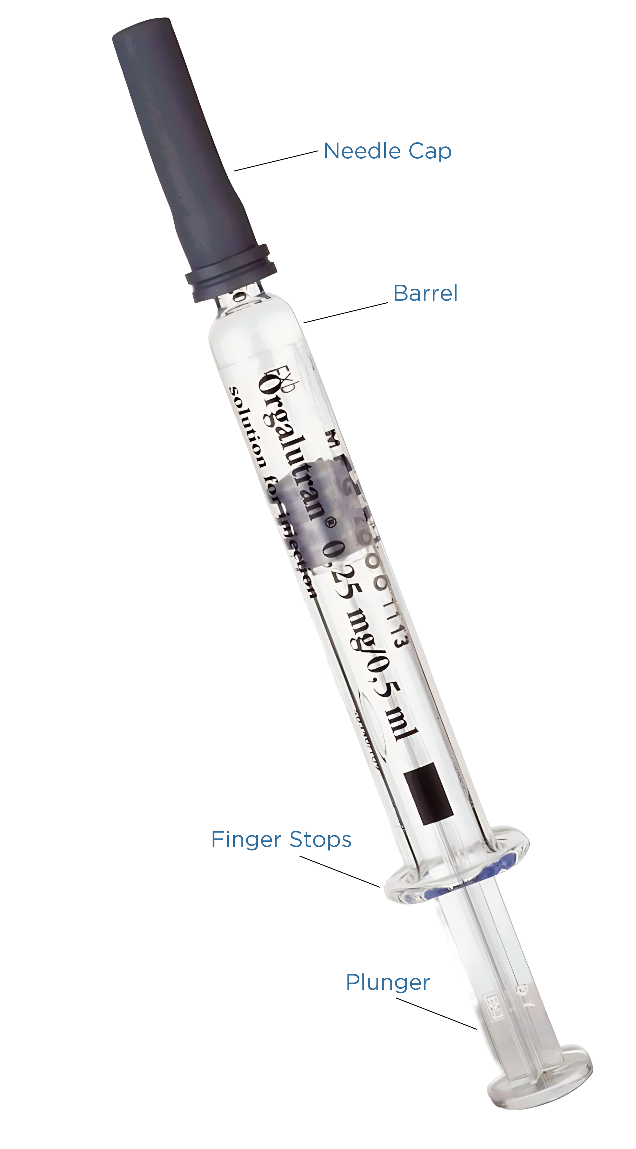 The Orgalutran pre-filled syringe, showing the barrel, plunger and needle cover
