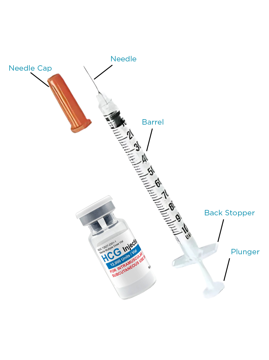 The Pregnyl powder vial alongside its separate sterile solvent vial, as dispensed